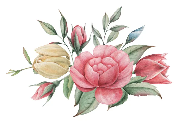 Çiçekler ve yapraklar, beyaz arka plan üzerinde izole suluboya büyüleyici kombinasyonu el boyalı.