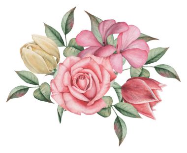 Çiçekler ve yapraklar, beyaz arka plan üzerinde izole suluboya büyüleyici kombinasyonu el boyalı