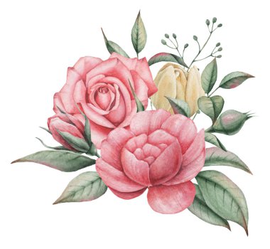 Çiçekler ve yapraklar, beyaz arka plan üzerinde izole suluboya büyüleyici kombinasyonu el boyalı