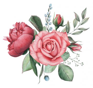 Çiçekler ve yapraklar, beyaz arka plan üzerinde izole suluboya büyüleyici kombinasyonu el boyalı