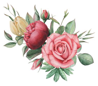 Çiçekler ve yapraklar, beyaz arka plan üzerinde izole suluboya büyüleyici kombinasyonu el boyalı