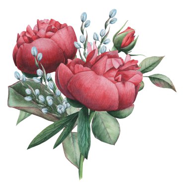 Çiçekler ve yapraklar, beyaz arka plan üzerinde izole suluboya büyüleyici kombinasyonu el boyalı