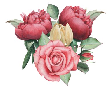 Çiçekler ve yapraklar, beyaz arka plan üzerinde izole suluboya büyüleyici kombinasyonu el boyalı