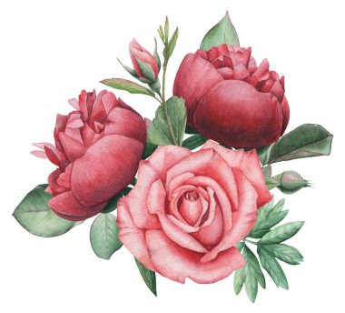 Çiçekler ve yapraklar, beyaz arka plan üzerinde izole suluboya büyüleyici kombinasyonu el boyalı