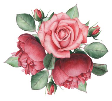 Çiçekler ve yapraklar, beyaz arka plan üzerinde izole suluboya büyüleyici kombinasyonu el boyalı