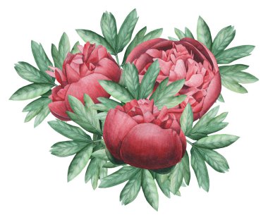 Çiçekler ve yapraklar, beyaz arka plan üzerinde izole suluboya büyüleyici kombinasyonu el boyalı