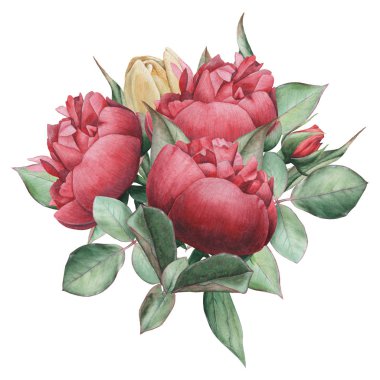 Çiçekler ve yapraklar, beyaz arka plan üzerinde izole suluboya büyüleyici kombinasyonu el boyalı