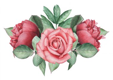 Çiçekler ve yapraklar, beyaz arka plan üzerinde izole suluboya büyüleyici kombinasyonu el boyalı