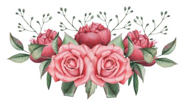 Çiçekler ve yapraklar, beyaz arka plan üzerinde izole suluboya büyüleyici kombinasyonu el boyalı