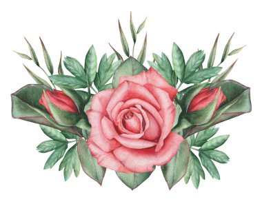 Çiçekler ve yapraklar, beyaz arka plan üzerinde izole suluboya büyüleyici kombinasyonu el boyalı