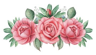 Çiçekler ve yapraklar, beyaz arka plan üzerinde izole suluboya büyüleyici kombinasyonu el boyalı