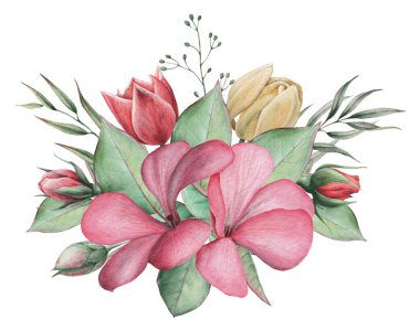 Çiçekler ve yapraklar, beyaz arka plan üzerinde izole suluboya büyüleyici kombinasyonu el boyalı