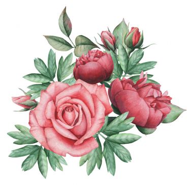 Çiçekler ve yapraklar, beyaz arka plan üzerinde izole suluboya büyüleyici kombinasyonu el boyalı