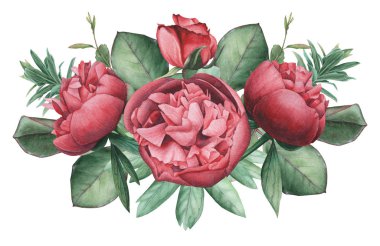 Çiçekler ve yapraklar, beyaz arka plan üzerinde izole suluboya büyüleyici kombinasyonu el boyalı