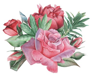 Çiçekler ve yapraklar, beyaz arka plan üzerinde izole suluboya büyüleyici kombinasyonu el boyalı