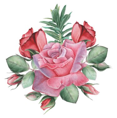 Çiçekler ve yapraklar, beyaz arka plan üzerinde izole suluboya büyüleyici kombinasyonu el boyalı