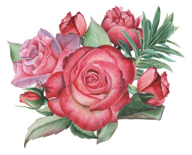 Çiçekler ve yapraklar, beyaz arka plan üzerinde izole suluboya büyüleyici kombinasyonu el boyalı