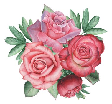 Çiçekler ve yapraklar, beyaz arka plan üzerinde izole suluboya büyüleyici kombinasyonu el boyalı