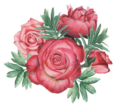 Çiçekler ve yapraklar, beyaz arka plan üzerinde izole suluboya büyüleyici kombinasyonu el boyalı