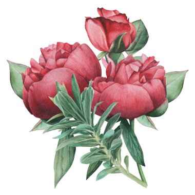 Çiçekler ve yapraklar, beyaz arka plan üzerinde izole suluboya büyüleyici kombinasyonu el boyalı