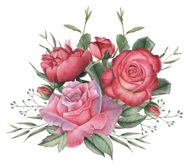 Çiçekler ve yapraklar, beyaz arka plan üzerinde izole suluboya büyüleyici kombinasyonu el boyalı