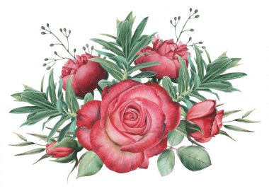 Çiçekler ve yapraklar, beyaz arka plan üzerinde izole suluboya büyüleyici kombinasyonu el boyalı