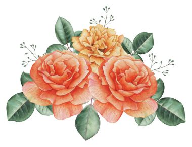 Çiçekler ve yapraklar, beyaz arka plan üzerinde izole suluboya büyüleyici kombinasyonu el boyalı