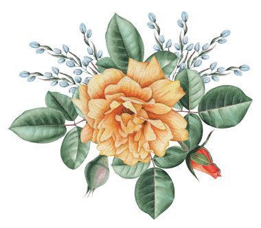 Çiçekler ve yapraklar, beyaz arka plan üzerinde izole suluboya büyüleyici kombinasyonu el boyalı