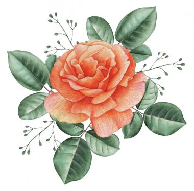 Çiçekler ve yapraklar, beyaz arka plan üzerinde izole suluboya büyüleyici kombinasyonu el boyalı