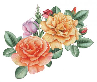 Çiçekler ve yapraklar, beyaz arka plan üzerinde izole suluboya büyüleyici kombinasyonu el boyalı