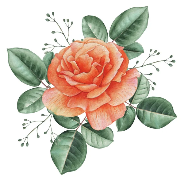 Çiçekler ve yapraklar, beyaz arka plan üzerinde izole suluboya büyüleyici kombinasyonu el boyalı