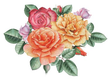 Çiçek ve yaprakları, beyaz arka plan üzerinde izole ile Seamless suluboya modeli