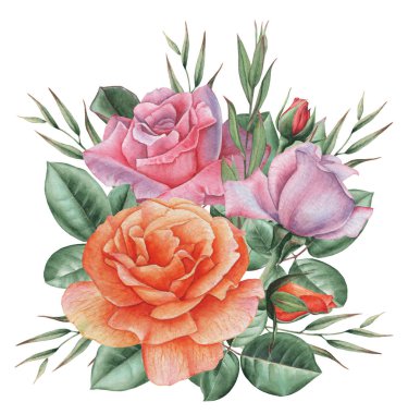 Çiçekler ve yapraklar, beyaz arka plan üzerinde izole suluboya büyüleyici kombinasyonu el boyalı