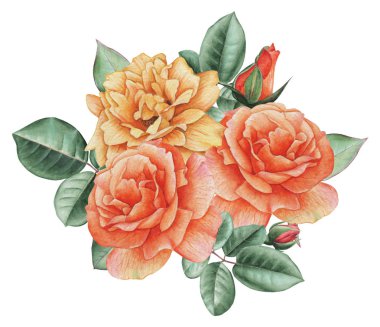 Çiçekler ve yapraklar, beyaz arka plan üzerinde izole suluboya büyüleyici kombinasyonu el boyalı