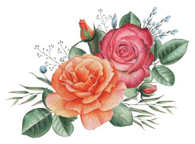 Çiçekler ve yapraklar, beyaz arka plan üzerinde izole suluboya büyüleyici kombinasyonu el boyalı