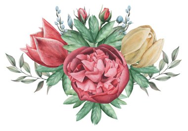 Vektör çizim çiçek ve yaprak, beyaz arka plan üzerinde izole suluboya büyüleyici kombinasyonu