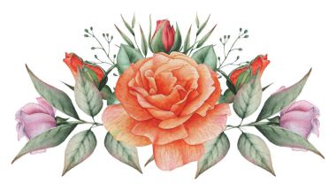 Çiçekler ve yapraklar, beyaz arka plan üzerinde izole suluboya büyüleyici kombinasyonu el boyalı