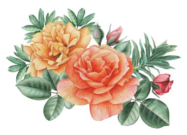 Çiçekler ve yapraklar, beyaz arka plan üzerinde izole suluboya büyüleyici kombinasyonu el boyalı