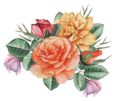 Çiçekler ve yapraklar, beyaz arka plan üzerinde izole suluboya büyüleyici kombinasyonu el boyalı