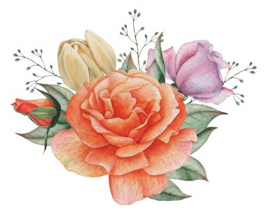 Çiçekler ve yapraklar, beyaz arka plan üzerinde izole suluboya büyüleyici kombinasyonu el boyalı