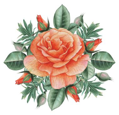 Çiçekler ve yapraklar, beyaz arka plan üzerinde izole suluboya büyüleyici kombinasyonu el boyalı