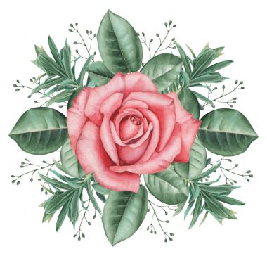 Çiçekler ve yapraklar, beyaz arka plan üzerinde izole suluboya büyüleyici kombinasyonu el boyalı