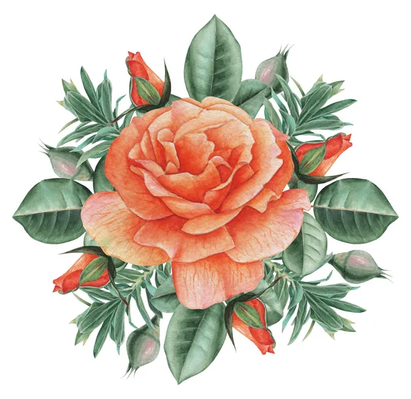 Çiçekler ve yapraklar, beyaz arka plan üzerinde izole suluboya büyüleyici kombinasyonu el boyalı