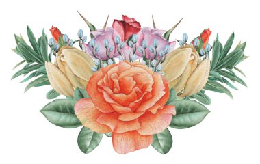 Çiçekler ve yapraklar, beyaz arka plan üzerinde izole suluboya büyüleyici kombinasyonu el boyalı