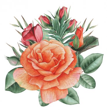 Çiçekler ve yapraklar, beyaz arka plan üzerinde izole suluboya büyüleyici kombinasyonu el boyalı