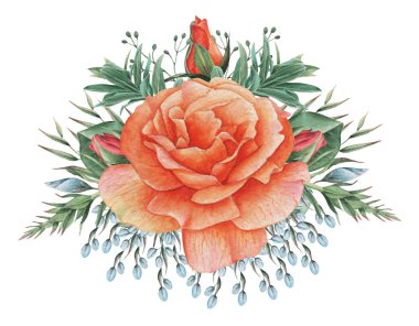 Çiçekler ve yapraklar, beyaz arka plan üzerinde izole suluboya büyüleyici kombinasyonu el boyalı