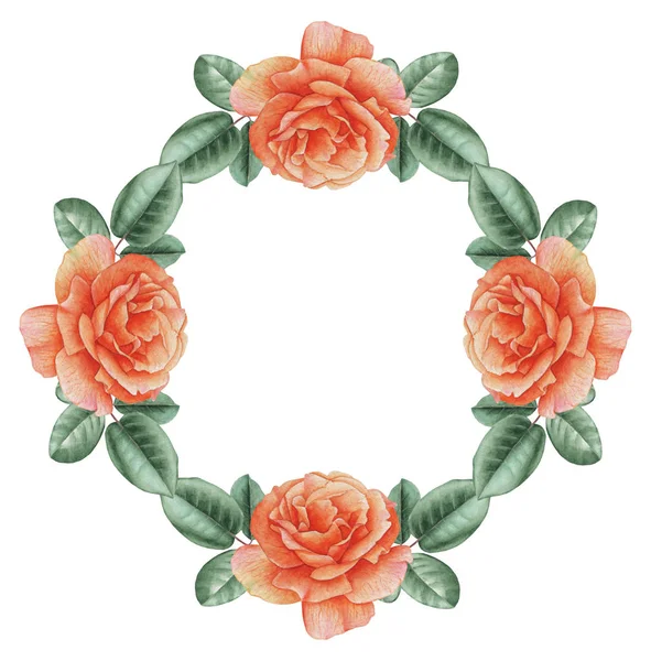 Suluboya çelenk çiçek ve yaprakları, beyaz arka plan üzerinde izole el boyalı