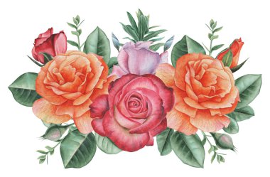 Çiçekler ve yapraklar, beyaz arka plan üzerinde izole suluboya büyüleyici kombinasyonu el boyalı