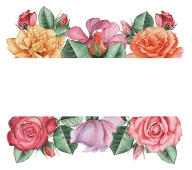 Çiçekler ve yapraklar, beyaz arka plan üzerinde izole suluboya büyüleyici kombinasyonu el boyalı, düğün, çerçeve, tırnak, desen, tebrik kartı, logo, Davetiyeler, yazı vb. için mükemmel