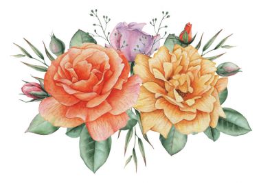 Çiçekler ve yapraklar, beyaz arka plan üzerinde izole suluboya büyüleyici kombinasyonu el boyalı